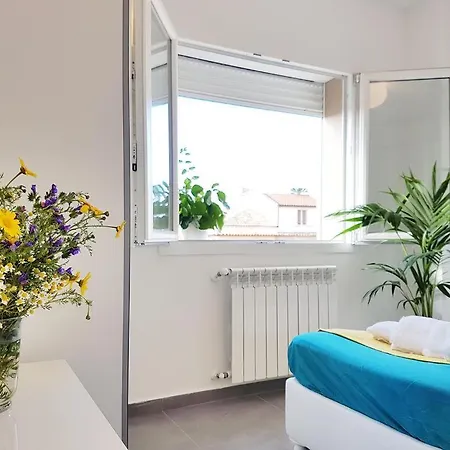 Il Gallo Apartment *